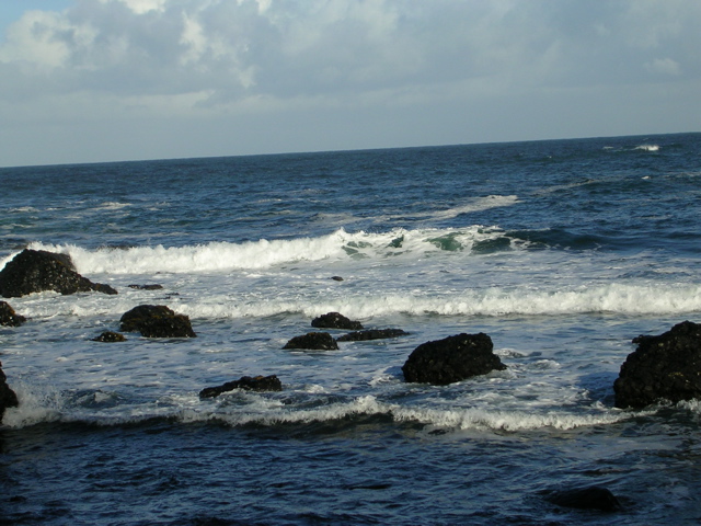 DSCN2446.JPG