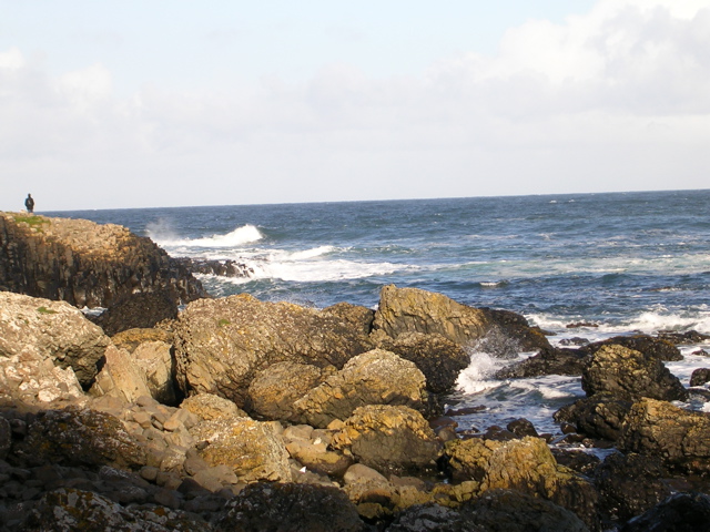 DSCN2450.JPG