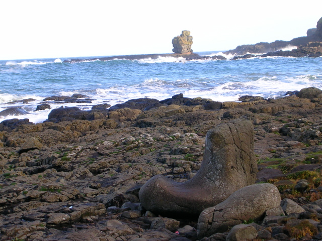 DSCN2458.JPG