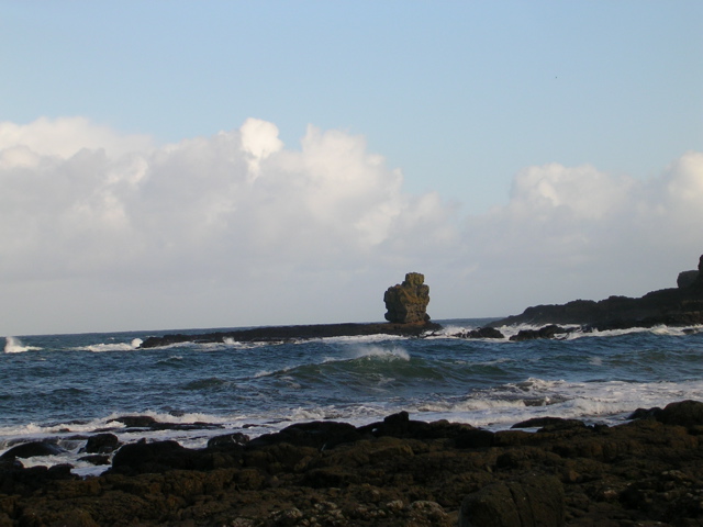 DSCN0001.JPG