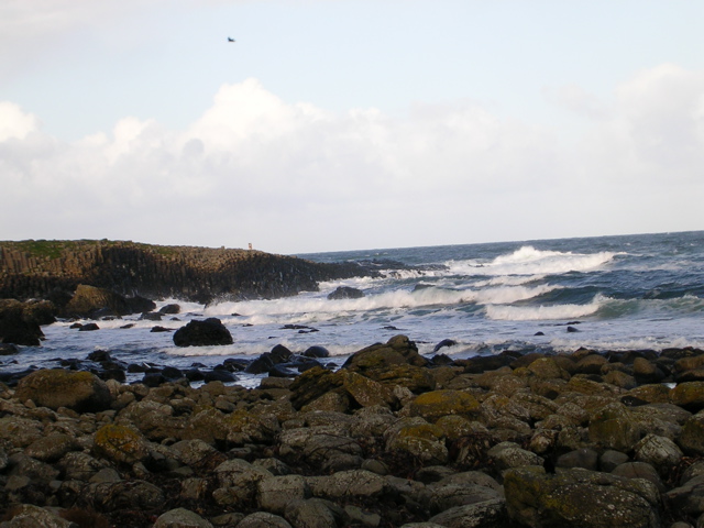 DSCN2459.JPG