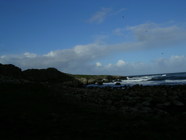 DSCN2462.JPG