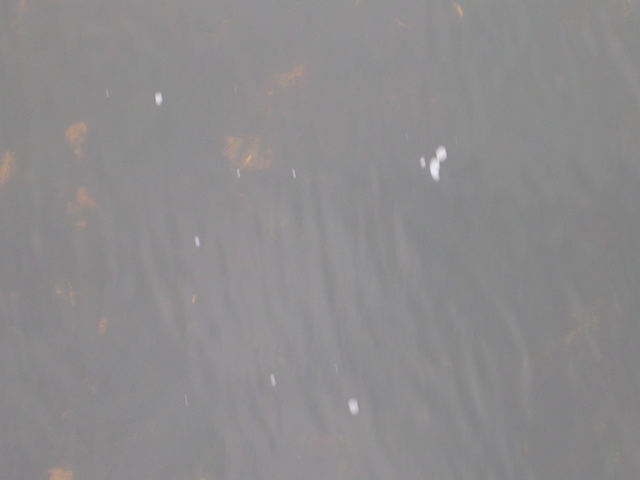 DSCN2159.JPG