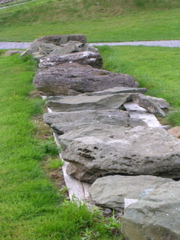 DSCN2227.JPG