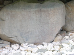 DSCN2231.JPG