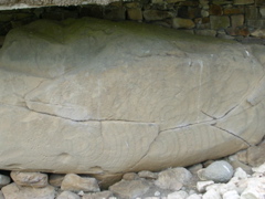 DSCN2236.JPG