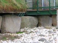 DSCN2238.JPG