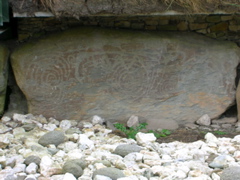 DSCN2243.JPG