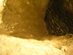 DSCN2246.JPG