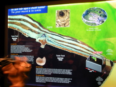 DSCN2251.JPG