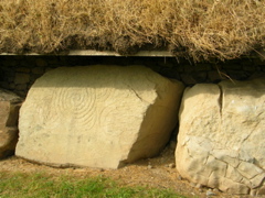 DSCN2260.JPG