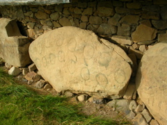 DSCN2262.JPG