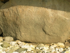DSCN2274.JPG