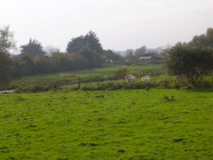 DSCN2280.JPG
