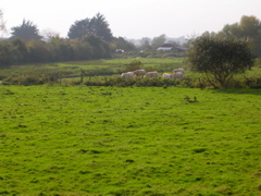 DSCN2281.JPG