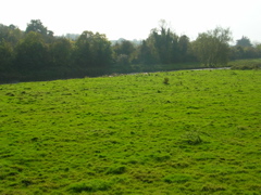 DSCN2282.JPG