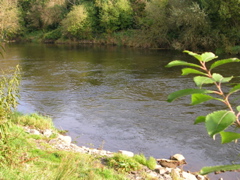 DSCN2283.JPG