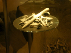 DSCN2286.JPG