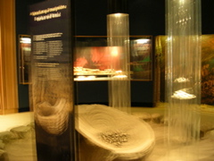 DSCN2287.JPG