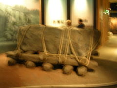DSCN2290.JPG