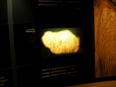 DSCN2291.JPG