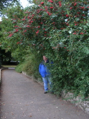 Day 2 Malahide Castle