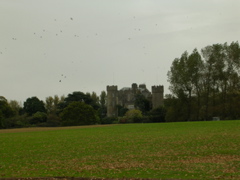 DSCN2302.JPG