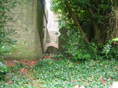 DSCN2315.JPG