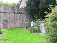 DSCN2318.JPG