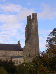 Trim Abbey in Trim