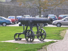 Trim Castle in Trim