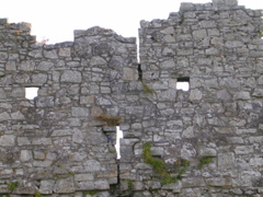 Trim Castle in Trim