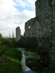 Trim Castle in Trim