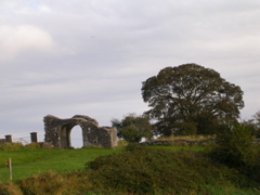 Trim Castle in Trim