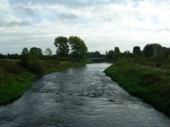 DSCN2351.JPG
