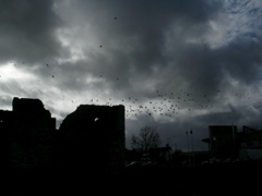 DSCN0004.JPG