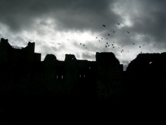 DSCN0005.JPG