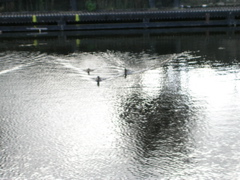 DSCN2361.JPG