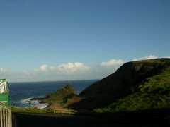 DSCN2390.JPG