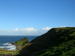 DSCN2392.JPG