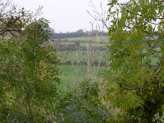 DSCN2151.JPG