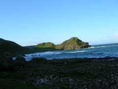 DSCN2398.JPG