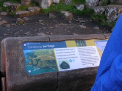 DSCN2400.JPG