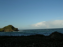 DSCN2405.JPG