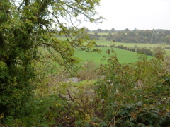 DSCN2153.JPG