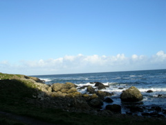 DSCN2424.JPG