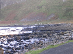 DSCN2427.JPG