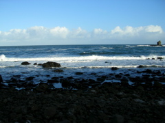 DSCN2432.JPG
