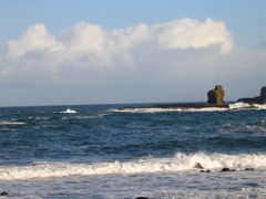 DSCN2433.JPG