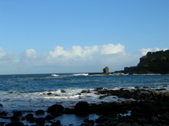 DSCN2436.JPG